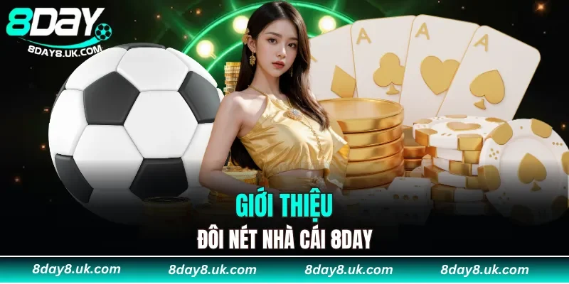 Các giai đoạn hoạt động, phát triển của 8DAY