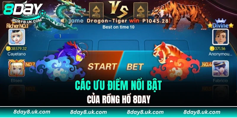 Các ưu điểm nổi bật của rồng hổ 8DAY
