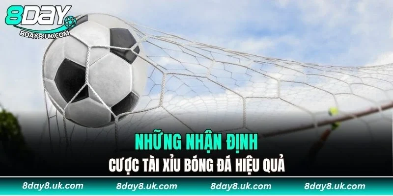 Những nhận định để bạn cược tài xỉu bóng đá hiệu quả