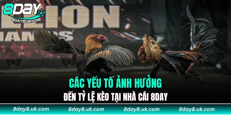 Những yếu tố làm thay đổi kèo đá gà